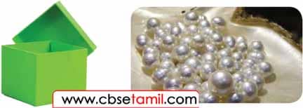 Class 4 Tamil Solution - Lesson 11 படத்தைப் பார்த்து விடுகதைகள் உருவாக்குக.