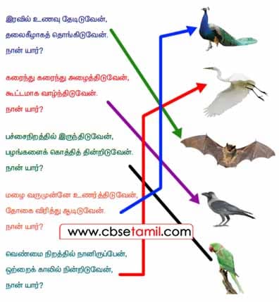 Class 4 Tamil Solution - Lesson 21 புதிர்களைப் படிப்போம்! விடை காண்போம்! படத்துடன் பொருத்துவோம்!