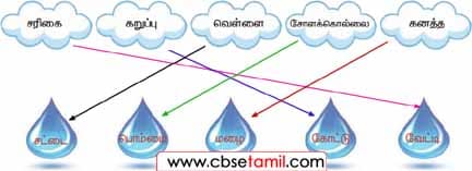 Class 4 Tamil Solution - Lesson 10 மேகங்களுக்குப் பொருத்தமான மழைத்துளிகளை இணைக்க.
