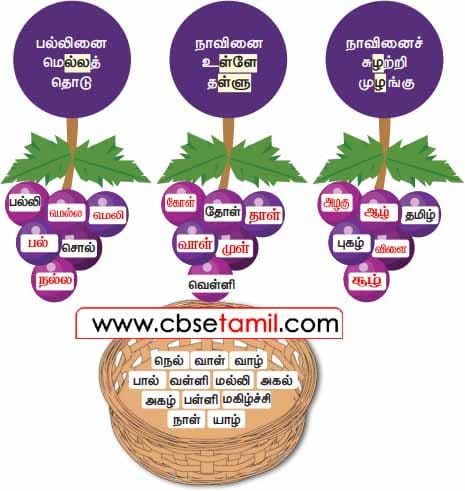 Class 4 Tamil Solution - Lesson 6 காலியிடங்களைக் கூடையில் உள்ள சொற்களைக் கொண்டு நிரப்புக