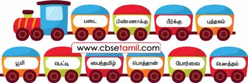 Class 4 Tamil Solution - Lesson 6 எது முன்னே? எது பின்னே? அகர வரிசைப்படுத்துக.