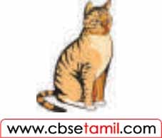 Class 5 Tamil Solution - Lesson 1.4 ஒலிமரபுச் சொற்களை எழுதுக