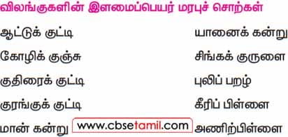 Class 5 Tamil Solution - Lesson 1.4 விலங்குகளின் இளைமப்பெயர் மரபுச் சொற்கள்