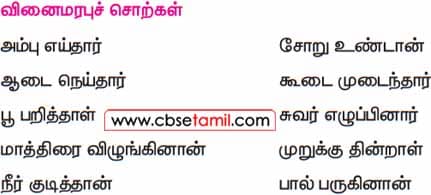 Class 5 Tamil Solution - Lesson 1.4 வினைமரபுச் சொற்கள்