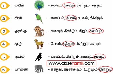 CBSE Class 5 Tamil Solution Chapter  - மரபுச்சொற்கள்