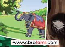 Class 5 Tamil Solution - Lesson 3.2 படம் இங்கே! பழமொழி எங்கே?