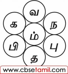 Class 6 Tamil Solution - Lesson 3.5 மெய் எழுத்து நடுவில் அமையுமாறு சொற்களை உருவாக்க