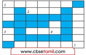 Class 6 Tamil Solution - Lesson 6.5 குறுக்கெழுத்து புதிர்