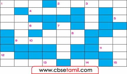 Class 7 Tamil Chapter 4.5 பிறமொழிச் சொற்களுக்கு இணையான தமிழ்ச் சொற்களை அறிவோம்.