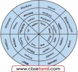 Class 8 Tamil Chapter 3.5 வட்டத்திலுள்ள பழமொழிகளை கண்டுபிடித்து எழுதுக