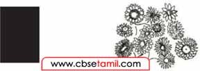 Class 9 Tamil Chapter 5.5 "‘இடைச்சொல் - உரிச்சொல்" - படங்களை இணைத்தால் கிடைக்கும் நூல்களின் பெயர்களைத் தேர்ந்தெடுத்து எழுதுக.