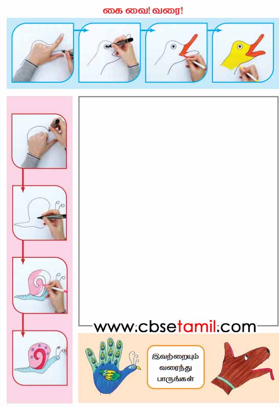 Class 2nd Book Back Answer - Lesson 11 - Nane Paripen - Kai Vai Varai