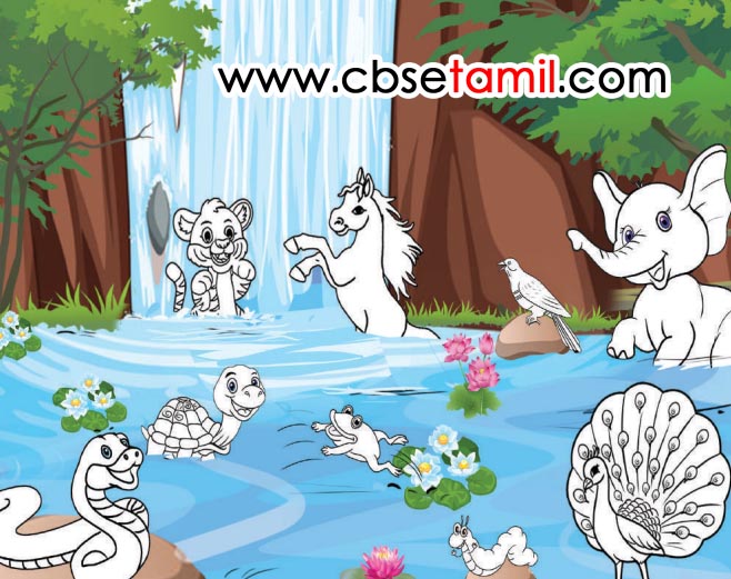 Class 2nd Book Back Answer - Lesson 11 - Nane Paripen - Vannam Theeti Mazhiven