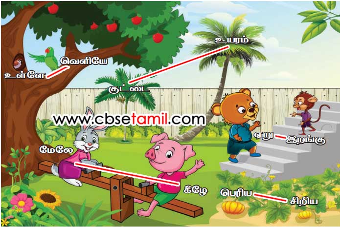 Class 2nd Book Back Answer - andrum indrum - Padam Parthu Yethirsol arivom