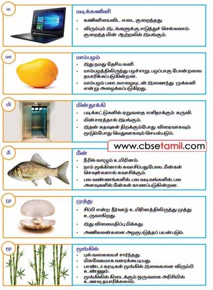 Class 2nd Book Back Answer - virumbi vellai seiyalam - Padavillaka Agarathi - Pada Vilakka Agarathi a