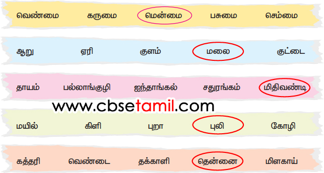 Class 3rd Book Back Answer - Iragu Yarudaiyathu - Kuluvil Serathathai vattamiduga