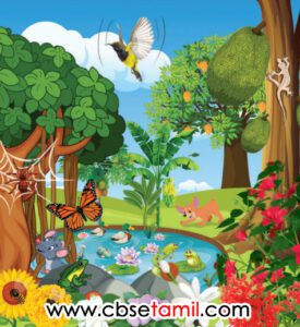 Class 3rd Book Back Answer - Iragu Yarudaiyathu - Padam Parthu Mahizlvom