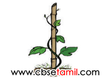 Class 3rd Book Back Answer - Iragu Yarudaiyathu - Yar Seithargal Yenna Seithargal- d