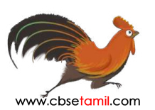 Class 3rd Book Back Answer - Iragu Yarudaiyathu - Yar Seithargal Yenna Seithargal- e