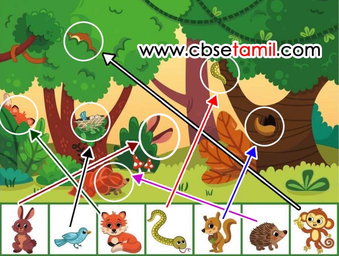 Class 3rd Book Back Answer - maatu vandiyile_Kandupidithu Vattamiduven