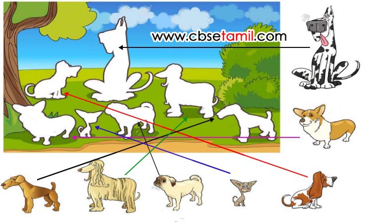 Class 3rd Book Back Answer - maatu vandiyile_Uriya vadivathoodu Inaipen