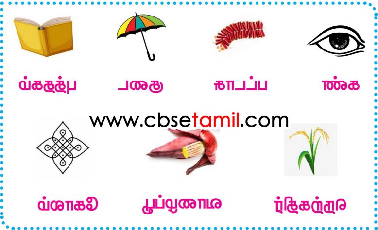 Class 3rd Book Back Answer - maatu vandiyile_puthiruku Poruthamana Vidayai Eluthuvom