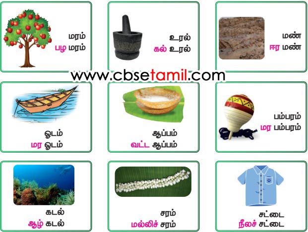 Class 3rd Book Back Answer - vaa vaa muyale - padithu Magilvom