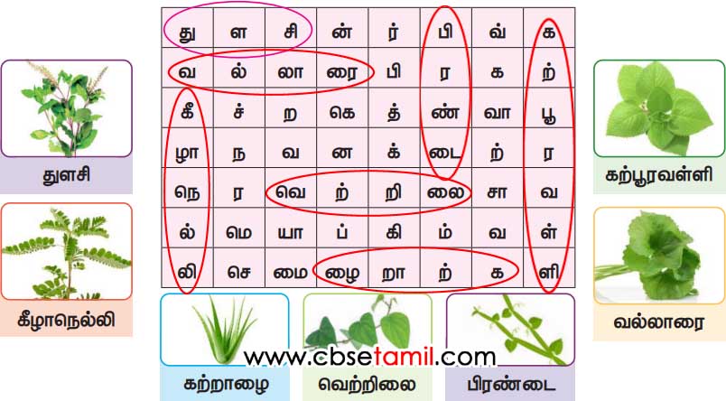 Class 3rd Book Back Answer - Malai neer - Vagaipaduthi eluthuvom